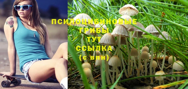 jwh Саяногорск