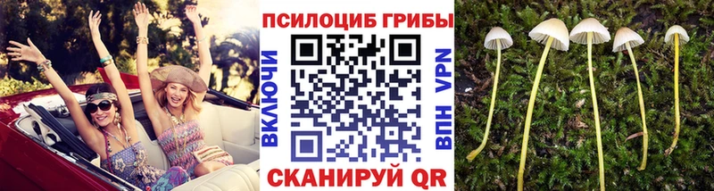 Псилоцибиновые грибы GOLDEN TEACHER  Бабушкин 